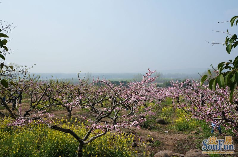 南京六合桃花岛