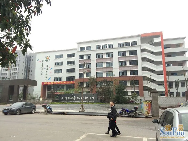 小学之沙坪坝区森林实验小学的前世——珍藏版之校景(一)-重庆搜房网