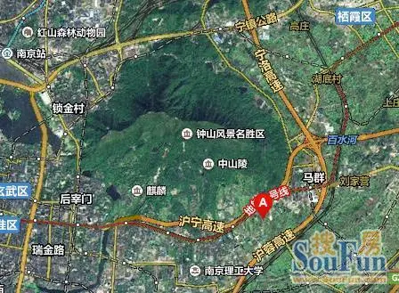 虎踞龙盘看钟山,到底啥是紫金山的龙脉,小编来一探究竟