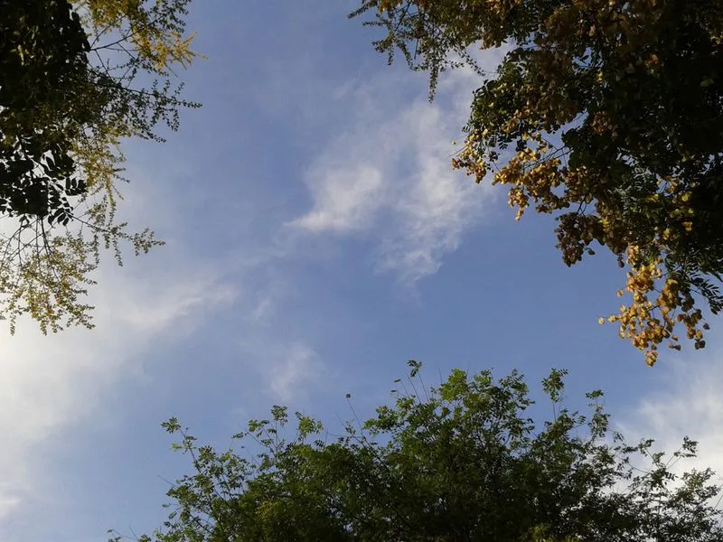 今天整理手机,无意中翻出前几天拍的入秋西安,蓝蓝的天,白白的云
