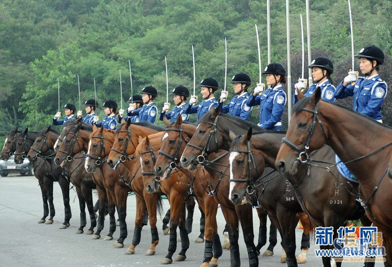 斯洛文尼亚警马图片