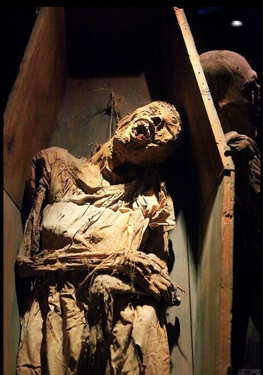 揭迷世界上最恐怖的人尸博物馆